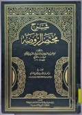 شرح مختصر الروضة = Sharh Mukhtashor ar-Roudhoh Juz 1