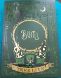 Bumi