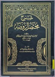 Sampul شرح مختصر الروضة = Sharh Mukhtashor ar-Roudhoh Juz 1