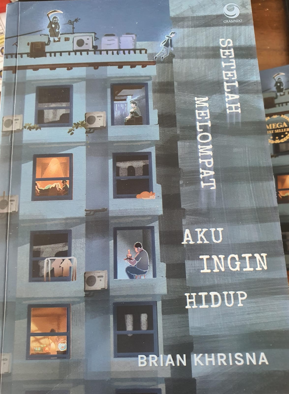Sampul Setelah Melompat Aku Ingin Hidup