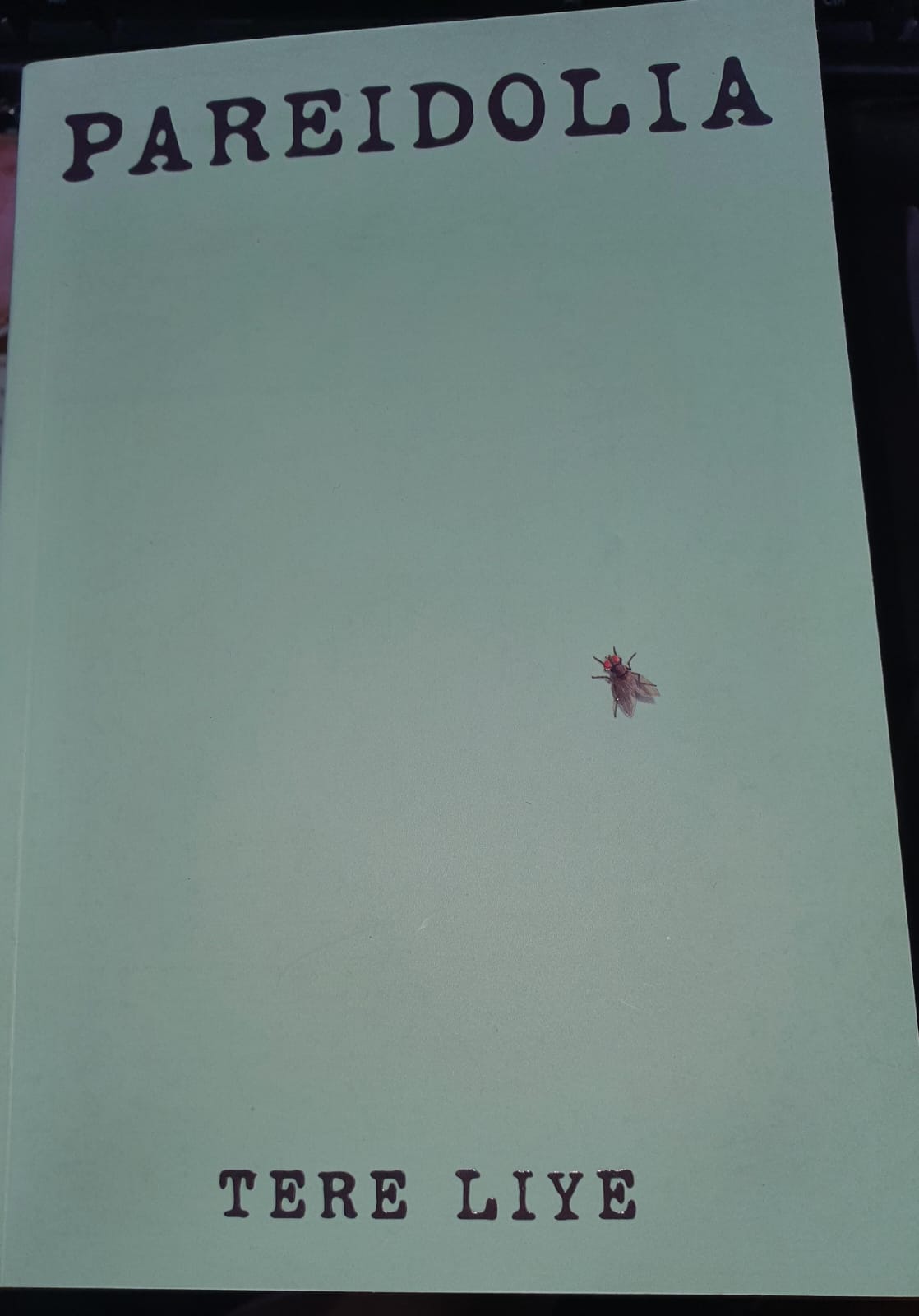 Sampul Pareidolia